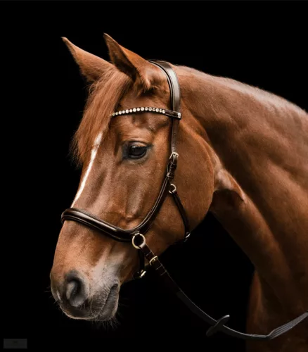 Waldhausen X-Line Zabla Nélküli Kantár Sensation, barna