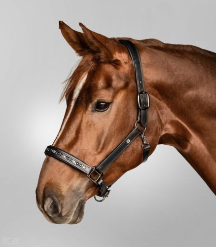 Waldhausen Crystal Bőrkötőfék, fekete