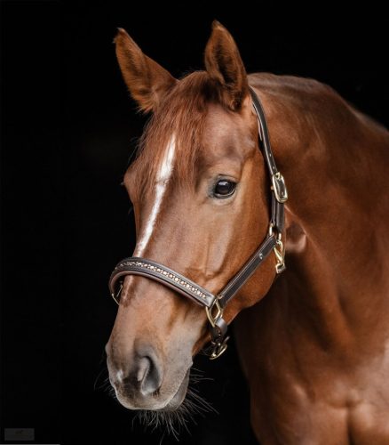 Waldhausen Crystal Bőrkötőfék, barna