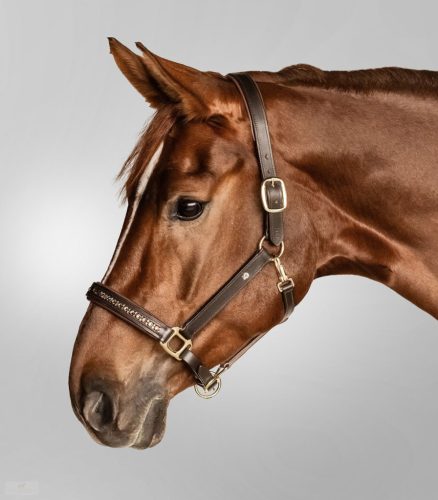 Waldhausen Crystal Bőrkötőfék, barna