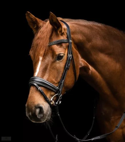 Waldhausen S-Line Galmour Kantár, fekete