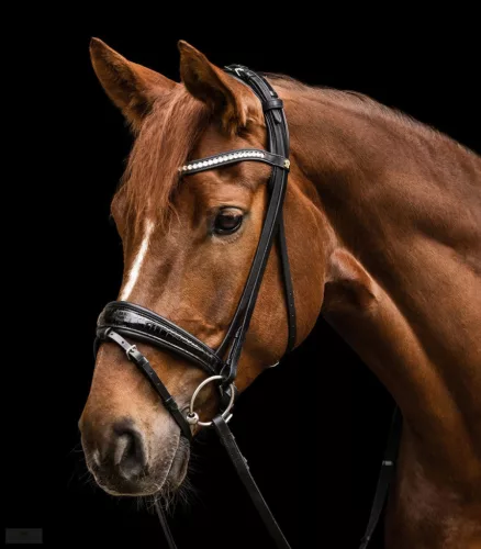 Waldhausen S-Line Magic Kantár, fekete