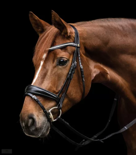 Waldhausen S-Line Essential Kantár, fekete