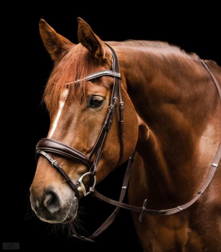 Waldhausen S-Line Essential Kantár, barna