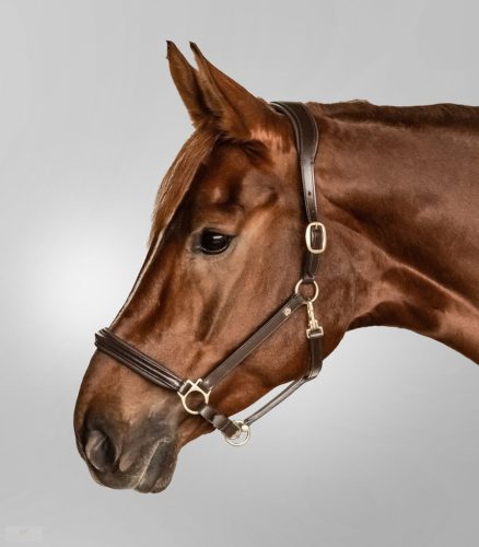 Waldhausen Classy S-line Bőrkötőfék, barna