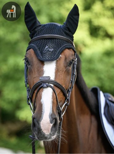 Boss Equestrian Glitter Fülvédő, fekete