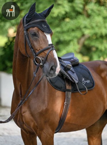 Boss Equestrian Glitter Fülvédő, fekete