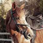 CWD Raised Figure 8 Hímzett  Kantár, Világosbarna