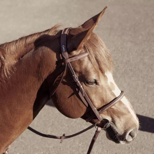 CWD Raised French Noseband Hímzett Kantár, Világosbarna