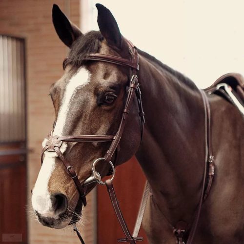 CWD Anatómiai Figure 8 Mademoiselle Hímzett Kantár, sötétbarna-sötétkék