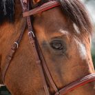 CWD Anatómiai Hímzett Mademoiselle Kantár, fekete-burgundy