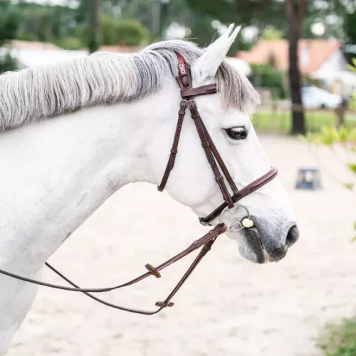 CWD Anatomic French Noseband Hímzett Kantár, fekete