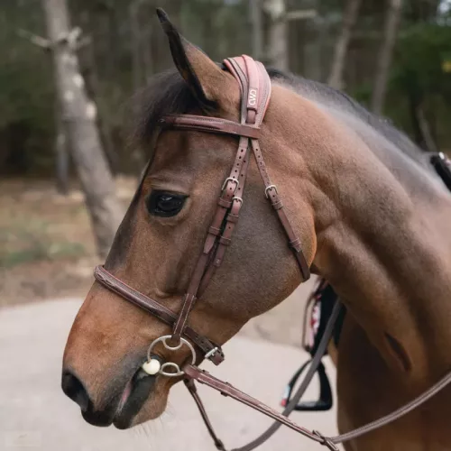 CWD Anatomic French Noseband Hímzett Kantár, fekete