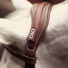 CWD Anatomic French Noseband Hímzett Kantár, sötétbarna
