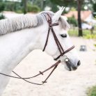 CWD Anatomic French Noseband Hímzett Kantár, sötétbarna