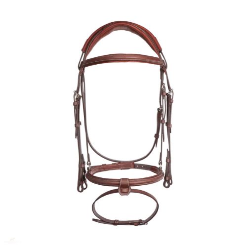 CWD Anatómiai Nagykantár, sötétbarna