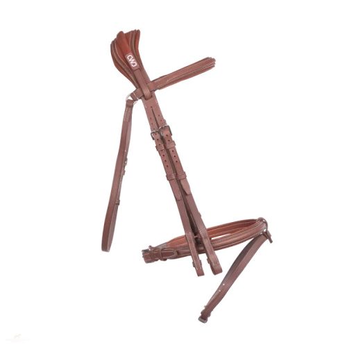 CWD Anatómiai Nagykantár, világosbarna