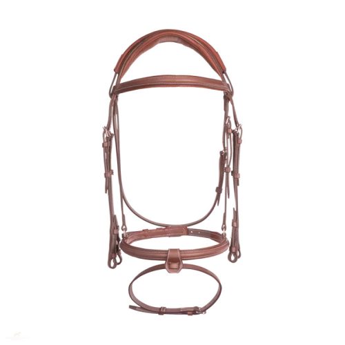 CWD Anatómiai Nagykantár, világosbarna