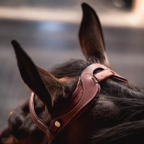 CWD FlexMotion Kantár, fekete