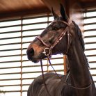 CWD FlexMotion Kantár, világosbarna