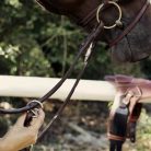 CWD Mademoiselle Martingál, sötétbarna-ezüst