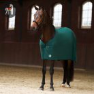 Imperial Riding Fundamental Polártakaró, forest green