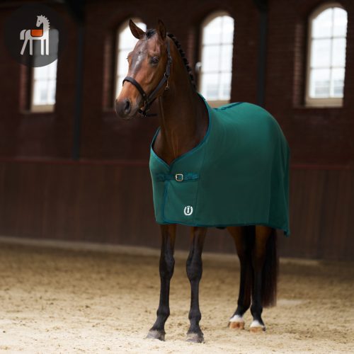 Imperial Riding Fundamental Polártakaró, forest green