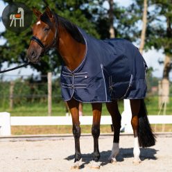   Imperial Riding Basic Karámtakaró Magasított Nyakkal, sötétkék