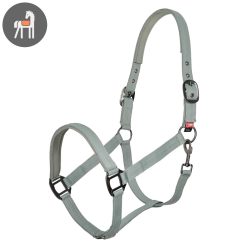 Imperial Riding Classic Sport Kötőfék, sage green