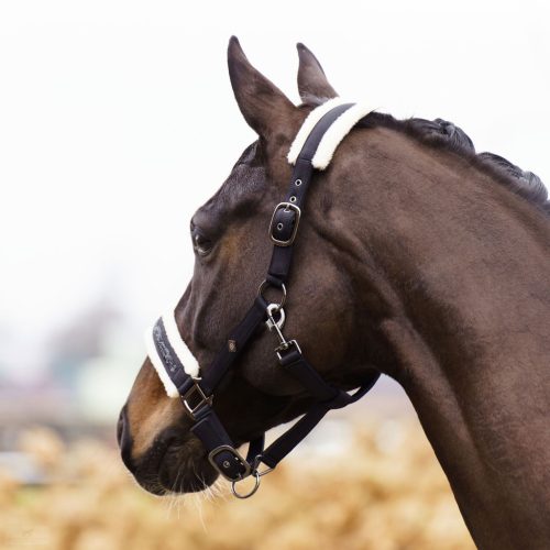 Imperial Riding Jewel Kötőfék, fekete