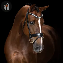 Imperial Riding Simple Kombinált Orrszíjas Kantár, fekete