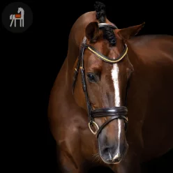   Imperial Riding Simple Kombinált Orrszíjas Kantár, sötétbarna