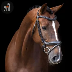 Imperial Riding Kantár Ívelt Angol Kantár, sötétbarna