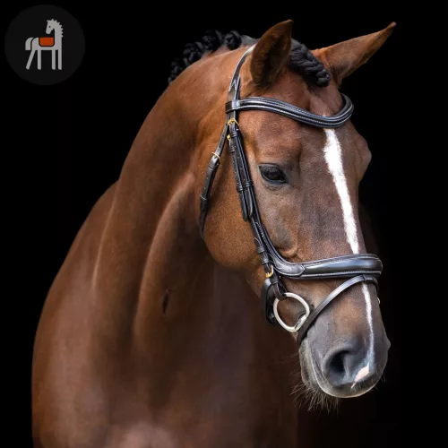 Imperial Riding Kantár Ívelt Angol Kantár, sötétbarna