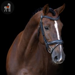 Imperial Riding Kantár Ívelt Angol Kantár, fekete