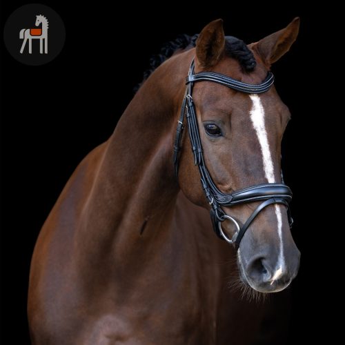 Imperial Riding Kantár Ívelt Angol Kantár, fekete