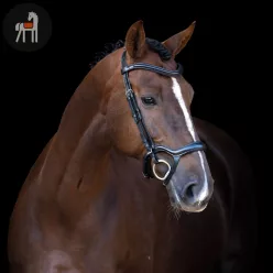 Imperial Riding Ergonomic Kantár, fekete