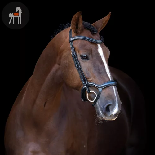 Imperial Riding Ergonomic Kantár, fekete