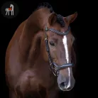 Imperial Riding Ergonomic Kantár, sötétbarna