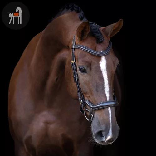 Imperial Riding Ergonomic Kantár, sötétbarna