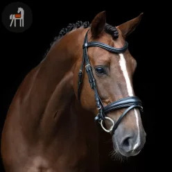 Imperial Riding English Sleek Kantár, fekete