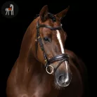 Imperial Riding English Sleek Kantár, sötétbarna