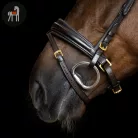 Imperial Riding English Sleek Kantár, sötétbarna