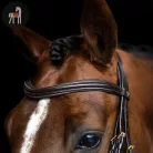 Imperial Riding English Sleek Kantár, sötétbarna