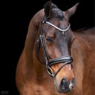 Imperial Riding Olympia Kantár, fekete-ezüst
