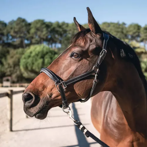 CWD Mademoiselle Kötőfék, fekete-szürke