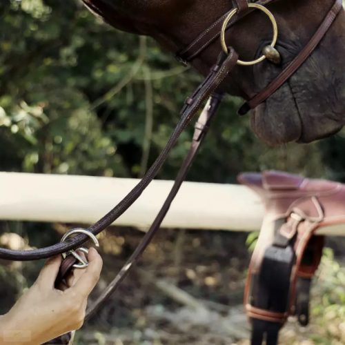 CWD Elasztikus Futó Martingál, sötétbarna