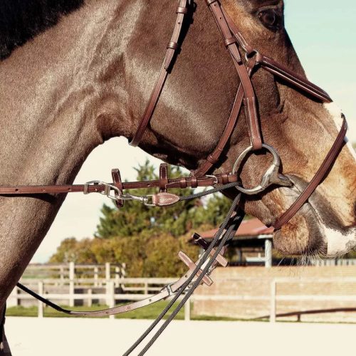 CWD Howlett Gumis Szár, sötétbarna