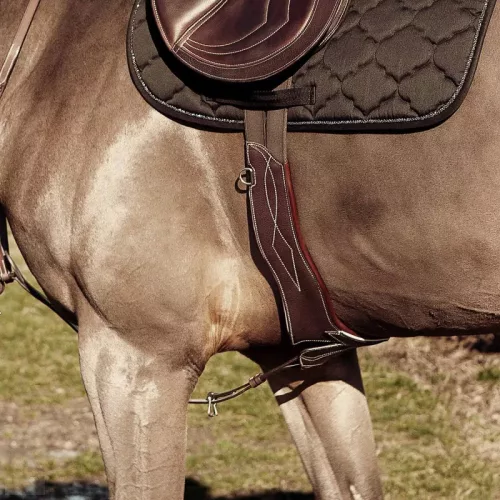 CWD Anatómiai Heveder, fekete