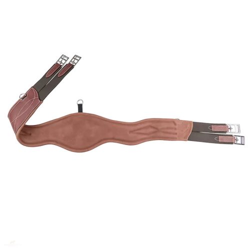 CWD Anatómiai Heveder, világosbarna